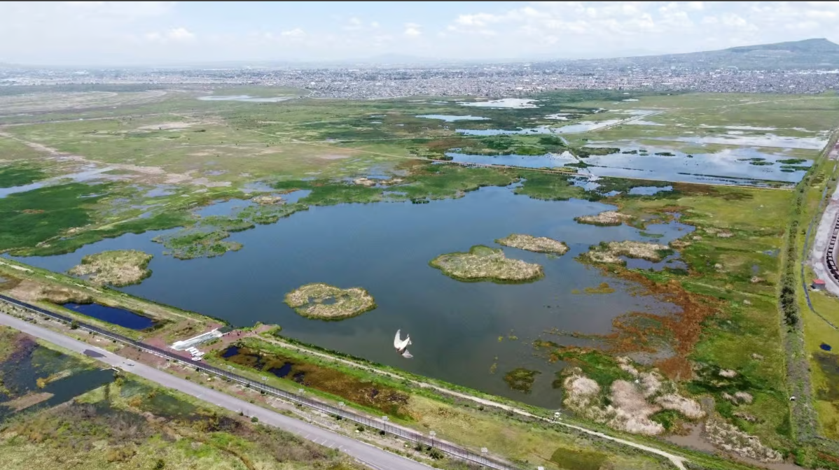 Parque Ecológico Lago de Texcoco: Errores de construcción causan derrame en obra recién inaugurada